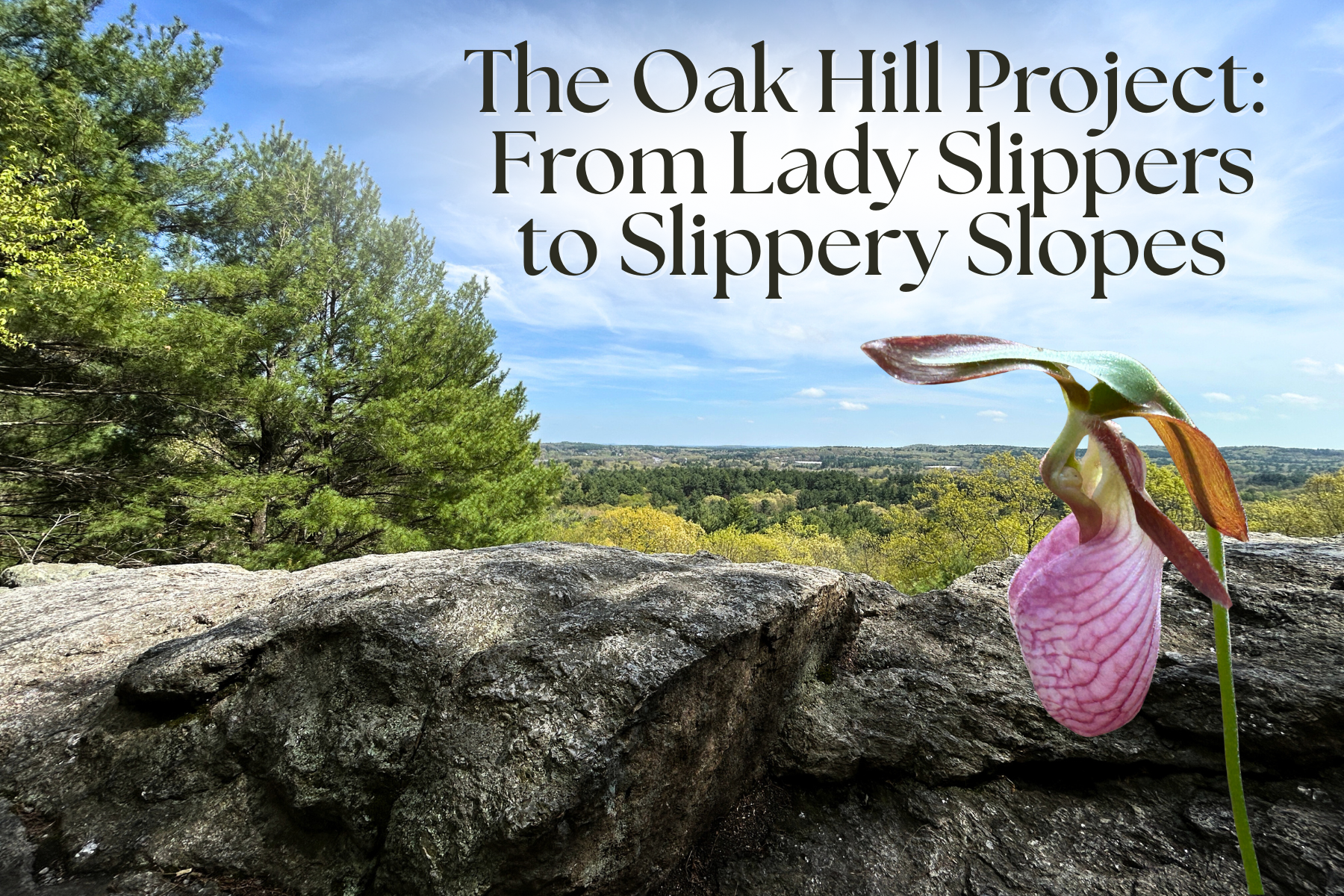 Oak Hill Project